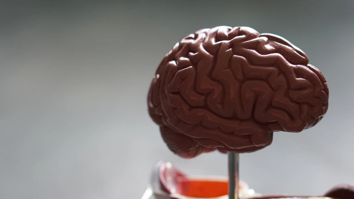 Doctors: Former NFL Player Who Killed Six Had 'Severe' CTE - Vimarsana News