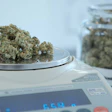 Marijuana Sales Scale Unsplash Fb Size