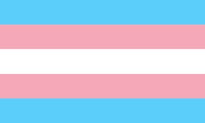 1200px Transgender Pride Flag svg