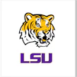 Lsu Tigers