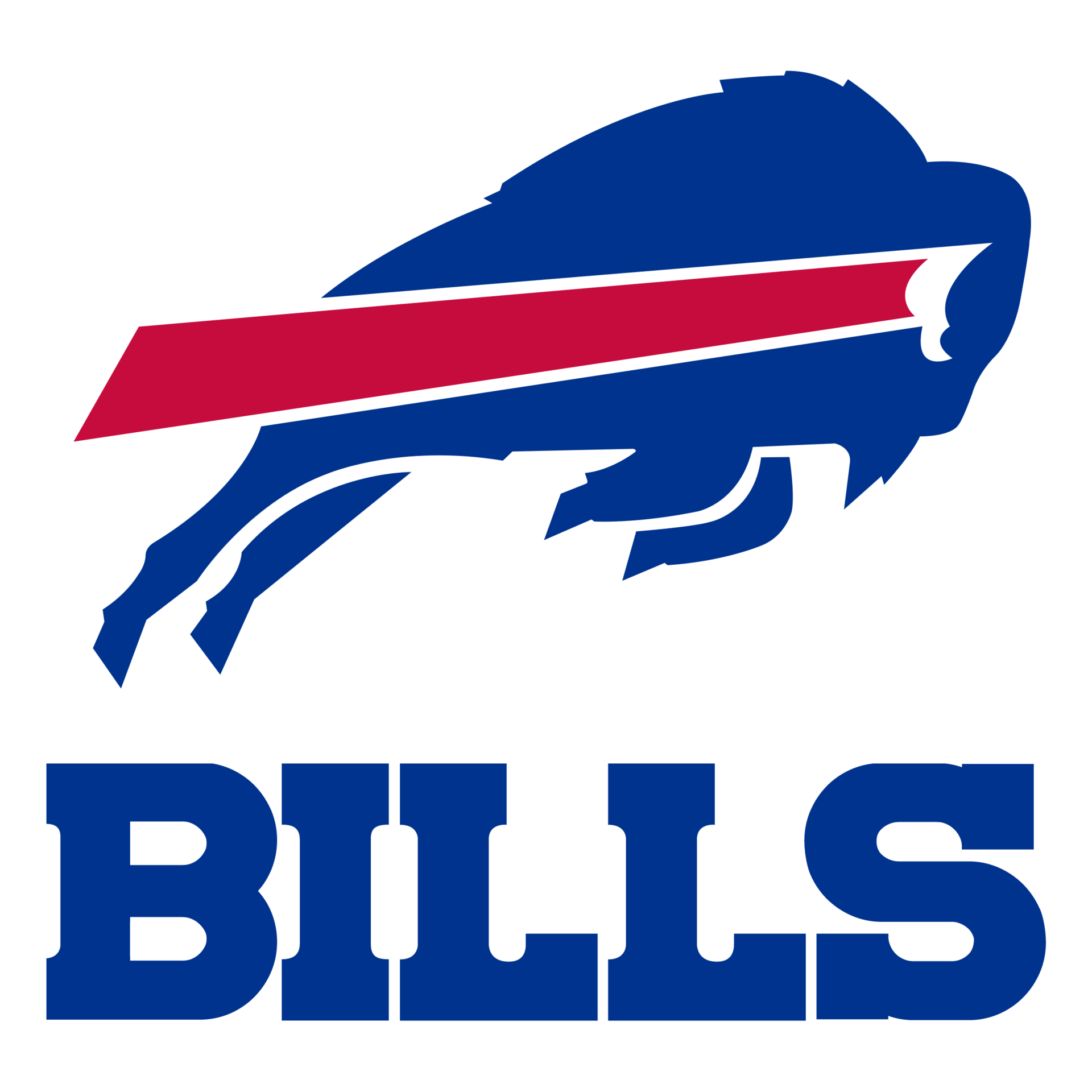 Agreement Reached For New Bills Stadium In Buffalo | Athletic Business