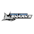 Ponte Vedra Sharks Logo