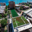 Loyola Chicago Alfie Kz Green Roof A 4 Medium