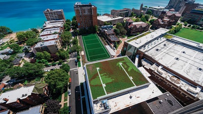Loyola Chicago Alfie Kz Green Roof A 4 Medium
