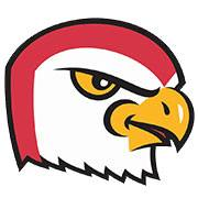 Friends Falcons