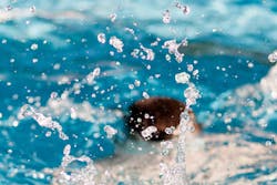 Swimmming Unsplash