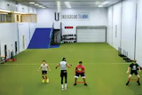 Underground Turf Cmyk