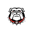 Georgia Bulldogs Secondary Logo