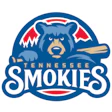 Tennessee Smokies