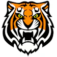 New Tiger