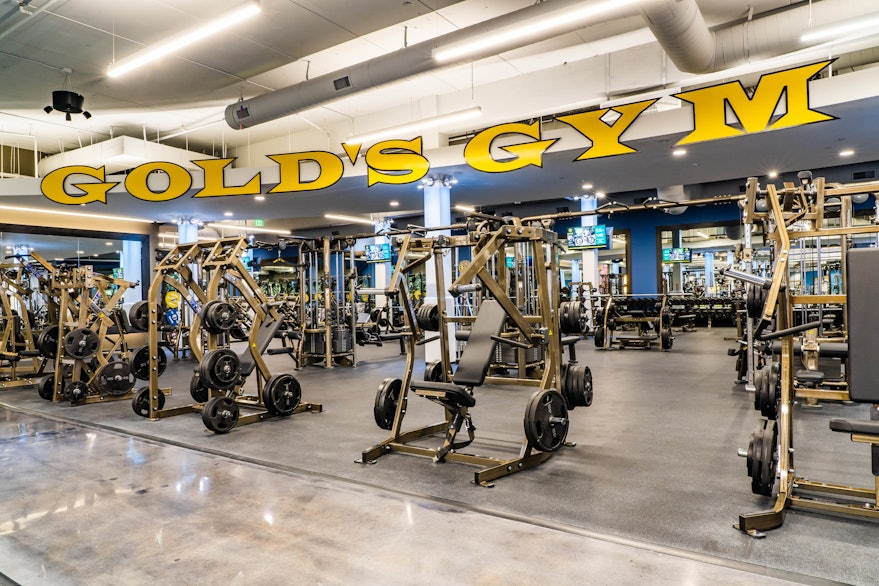 Gold's Gym Northridge  The Original Home of Serious Training