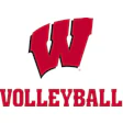 Wisconsin Badgers Logo Volleyball Red Tm svg
