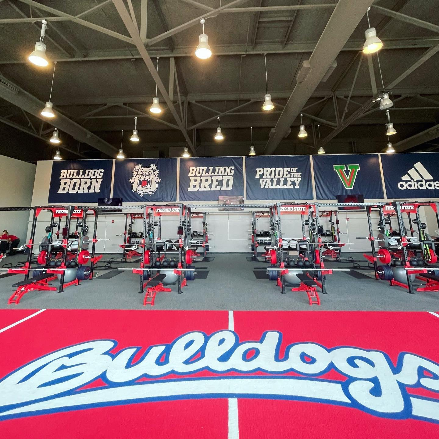 Bulldogs