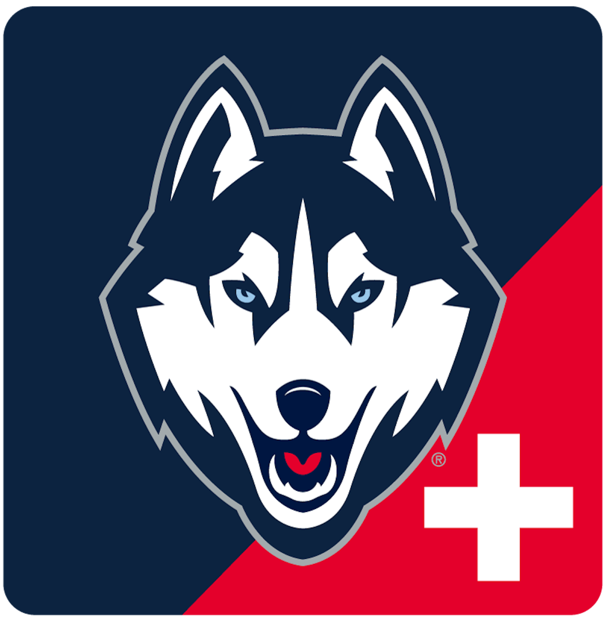 uconn logo png