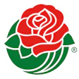 Rose Bowl Logo 1982
