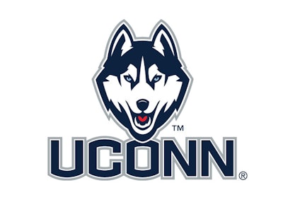 Uconn Huskies Logo Word Mark Large