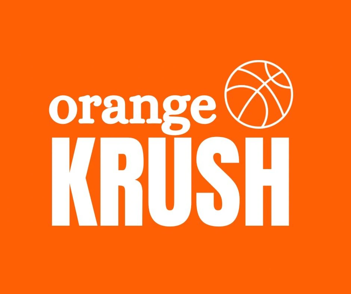 Illinois Student Section Apologizes for Posing as Charity During Ticket Purchase - Vimarsana News