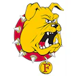 13 Bulldog Full Color