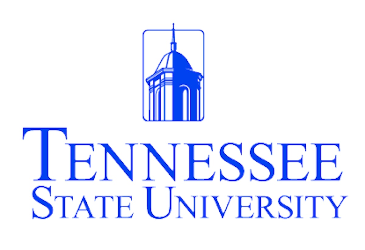 Tennessee State University in Nashville considers becoming first HBCU with hockey  teams