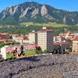 Buffs Scoreboard