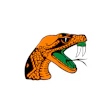Florida Am Rattlers Logo