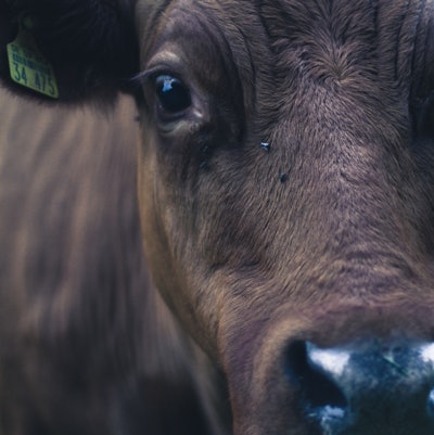 Josua De Z Uf0 Qxlr1 Gu Unsplash