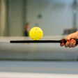 Pickleball paddle and ball