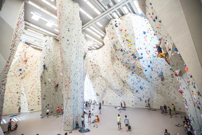 1 P 424 Ab Walltopia