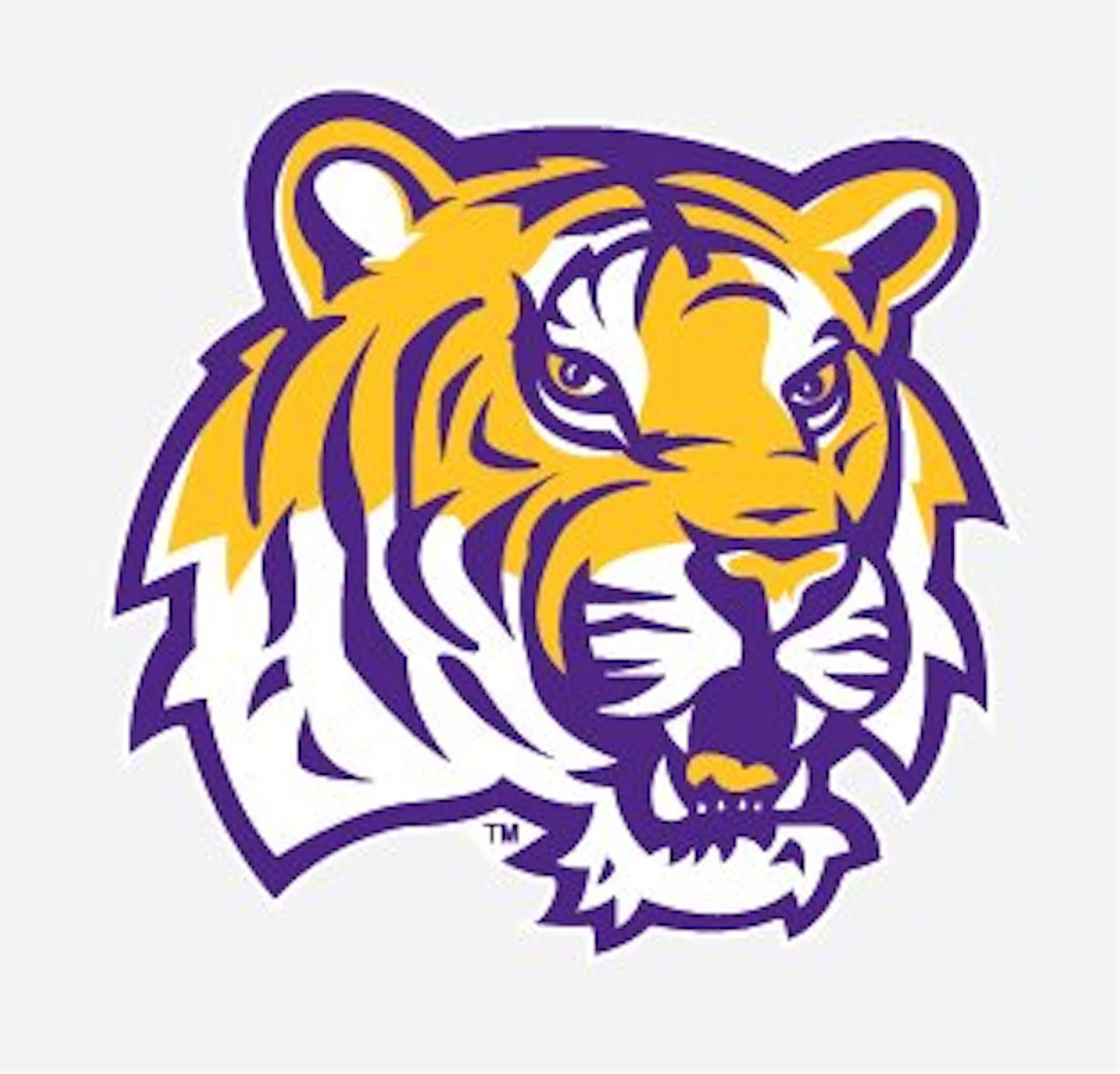 LSU Settles Sexual Misconduct Lawsuit Involving Former Athletes - Vimarsana News