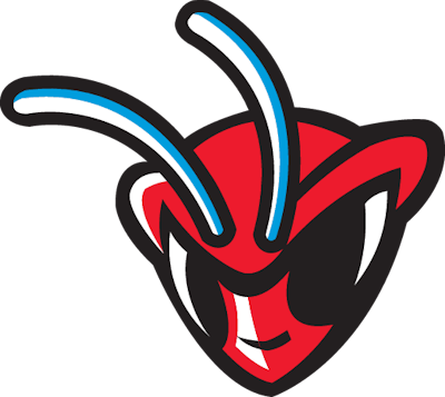 Delaware State University Hornet Head 1
