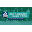 210000 Pl News Wide 29