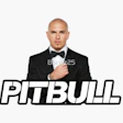 Pitbull