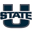 Usu