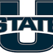 Usu