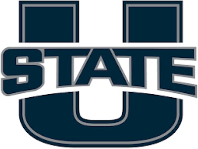Usu