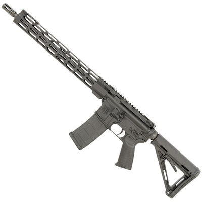 Gun
