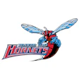 Delaware State Hornets Logo