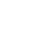 Kinneta20 Logo 10