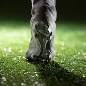 Ten Cate Photo New
