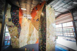 1392-ClimbingWall6_web.jpg