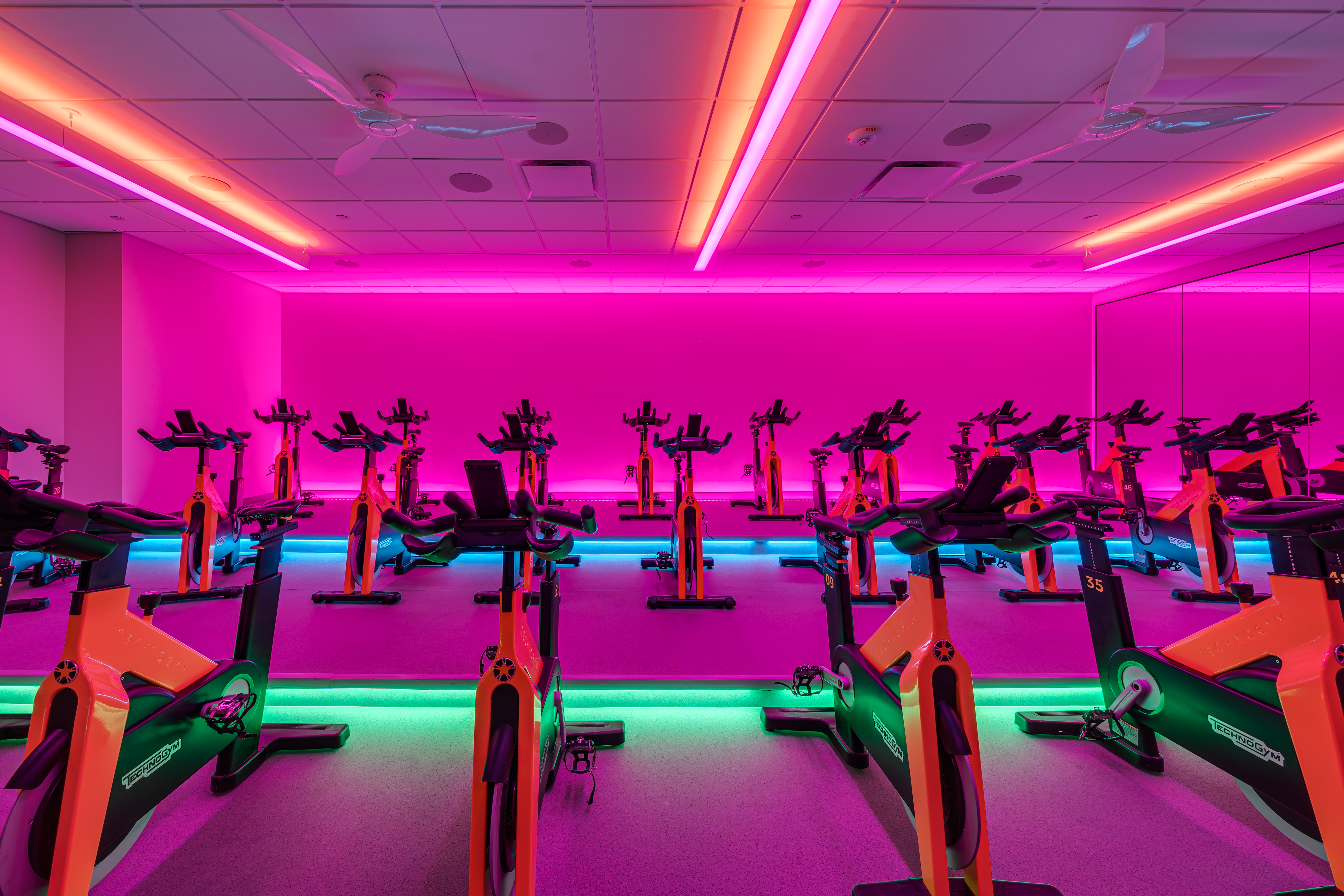 Cycle Studio Lit Forward View Steve Lee
