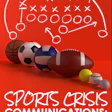 Sports Crisis Communications book cover with sports balls and strategic play diagram