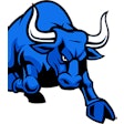 Bull Img 2