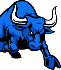 Bull Img 2
