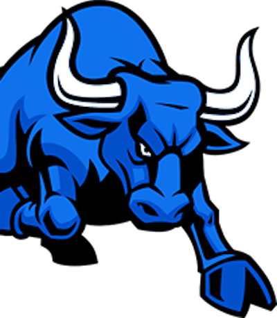 Bull Img 2