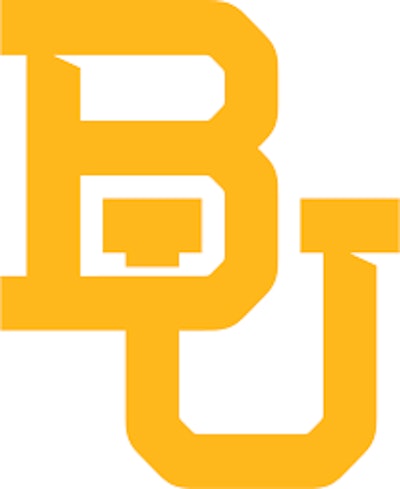 Bu
