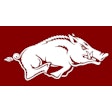 University Of Arkansas 3 X 5 Logo Mat 28