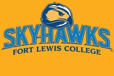 2012 Skyhawk Logo Gold