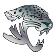 Jacksonville Jaguars NFL team logo featuring a fierce jaguar head