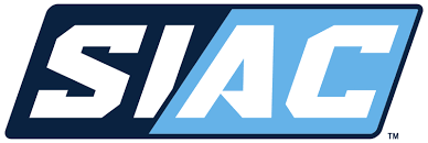 SLAC logo with bold blue letters in geometric design